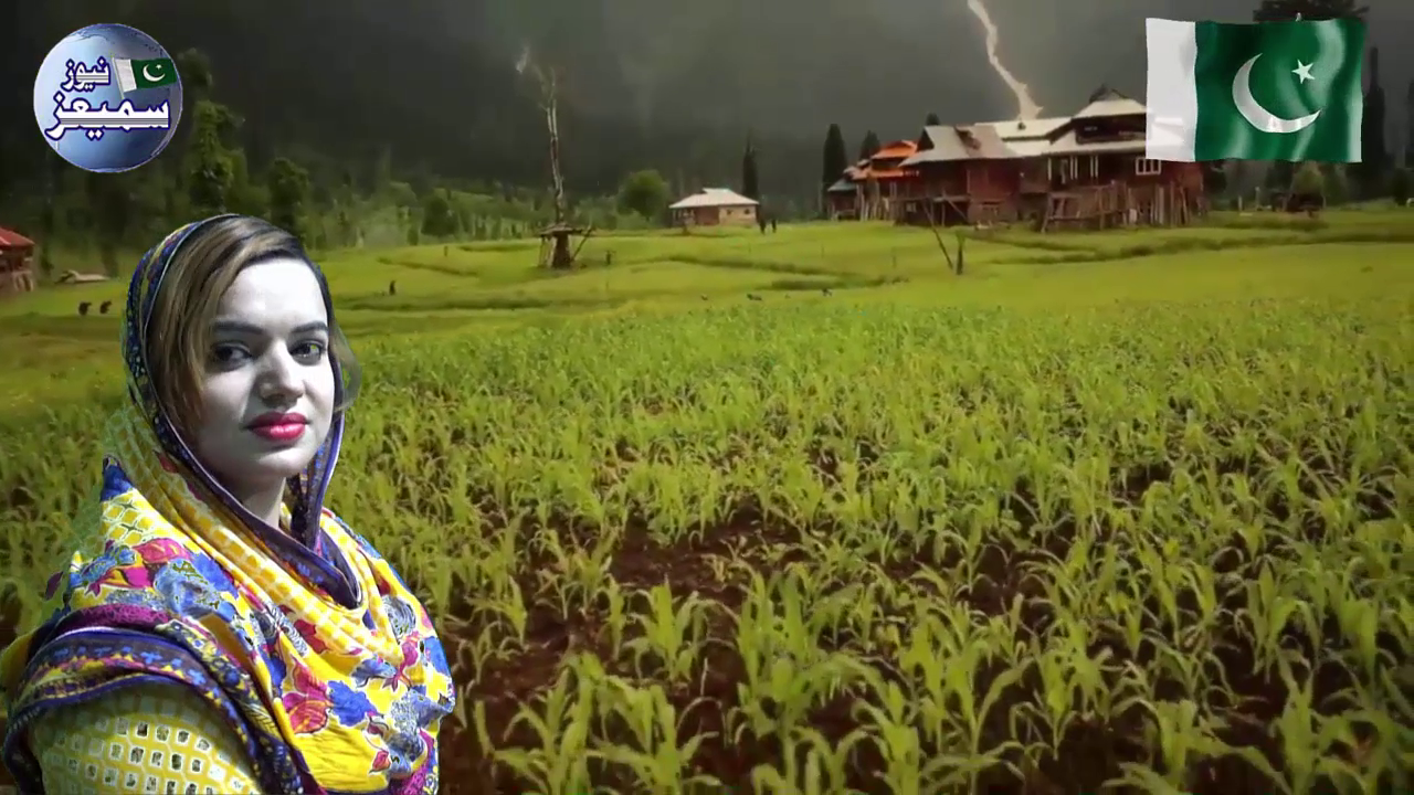 سمیعز نیوز کی فخریہ پیشکس: پاکستان کا قومی ترانہ