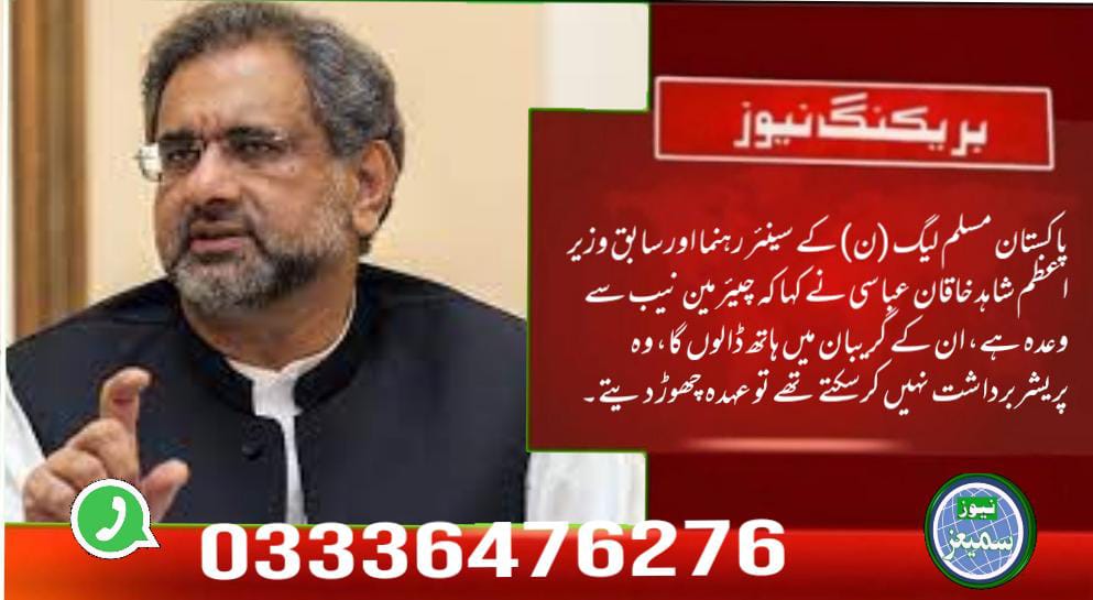 چیئرمین نیب سے وعدہ ہے ان کے گریبان میں ہاتھ ڈالوں گا، شاہد خاقان عباسی