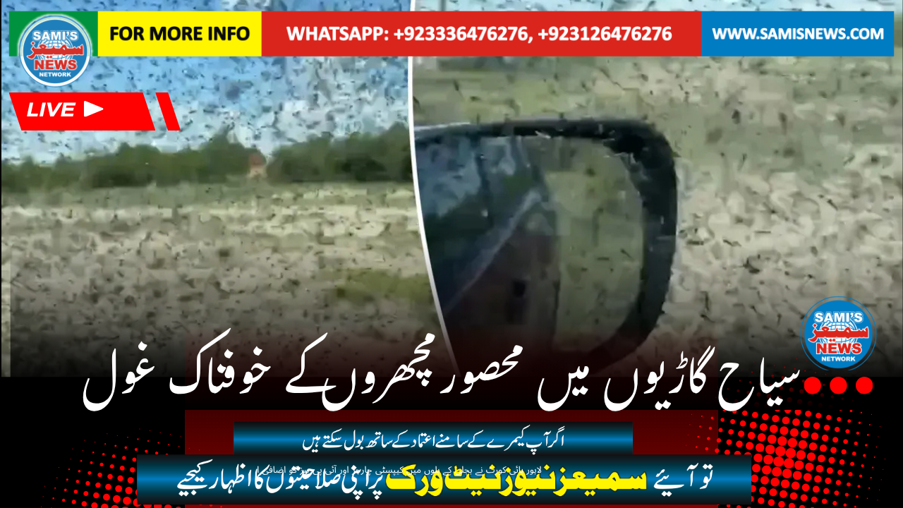 سیاح گاڑیوں میں محصورمچھروں کے خوفناک غول