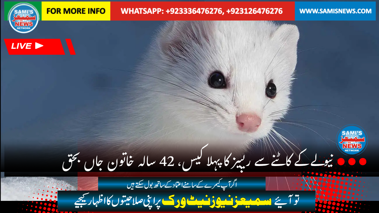 نیولے کے کاٹنے سے 42 سالہ خاتون جاں بحق