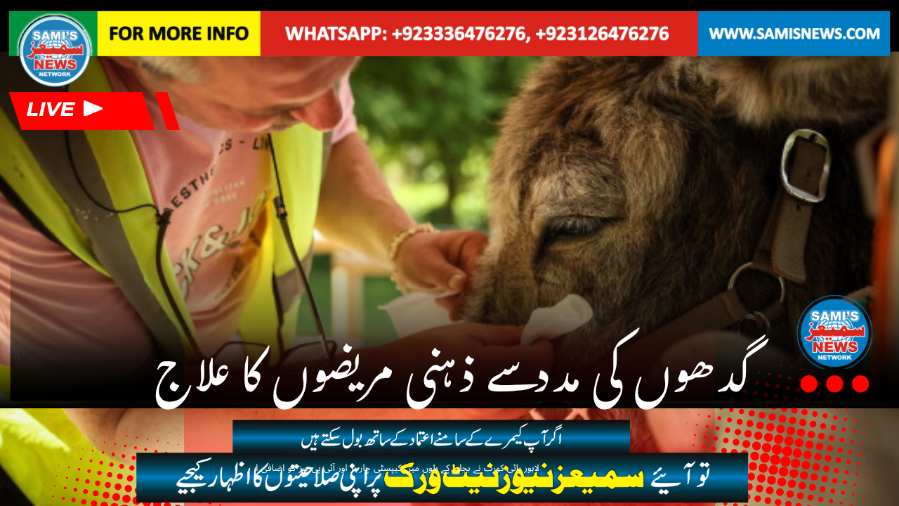 گدھوں کی مدد سے ذہنی مریضوں کا علاج